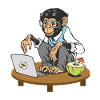 Monkey in front of laptop
