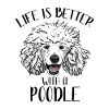 International Dog Day - Poodle