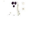 Ghosts - Spooky