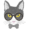 cat face