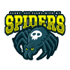 Sorry Spiderplans