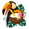 Toucan Summer - affiche