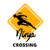 Passage Ninja