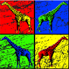 giraffe
