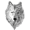loup