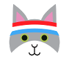 Jogging cat