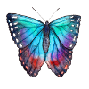 Papillon bleu