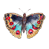 Bunter Schmetterling