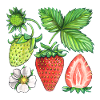 Strawberries