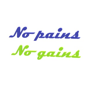 No pains no gains Saying with 3D effect