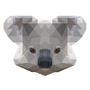 Mr. Koala