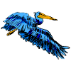 pelican