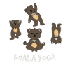 Koala bear