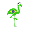 Football Flamingo BRASIL