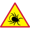 Attention ticks