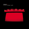Interpol