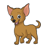 Petit chien doux Chiwawa