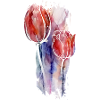 tulips art