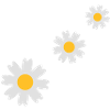 3_flowers