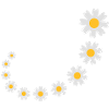 flowers_design