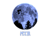 M.T.B.