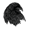 Raven Raven
