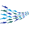 dolphins