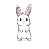 Bunny bunny cute fluffy gift