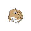 Rabbit - Zwergwidder