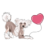 Chinois à crête I