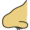 nose