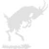Jumping goat