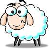 Sheep, lamb