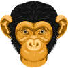 Monkey / Affe