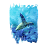 Turtle in the sea