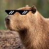 Capybara deal with it