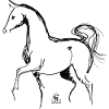 Sketchy Horse I