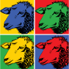 Schaf Sheep Pop-Art Design