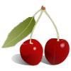 cherries