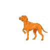 Vizsla Diamonds
