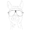 LAMA cool Wilsigns
