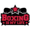 boxing_is_my_life_c2