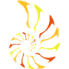 nautilus fibonacci
