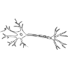 Neurone