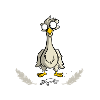 Doe het als de vogel - shit erop