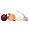 Onions garlic gift idea