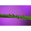 Waterdrop
