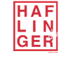 Haflinger lettering / horse