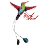 Bird nerd