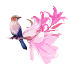 Vogel mit Blüten